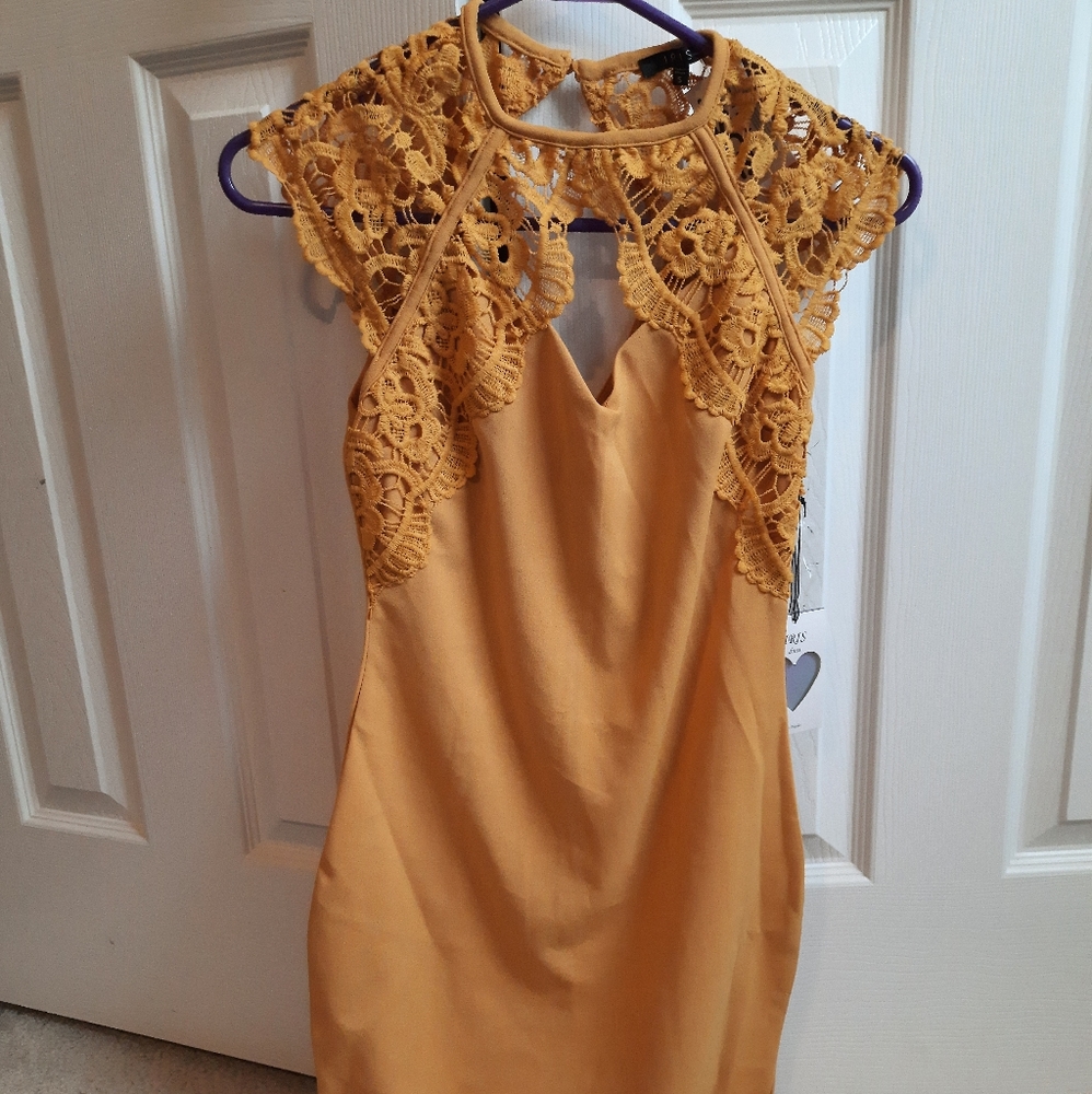 Lace collar cocktail dress